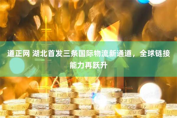 道正网 湖北首发三条国际物流新通道，全球链接能力再跃升