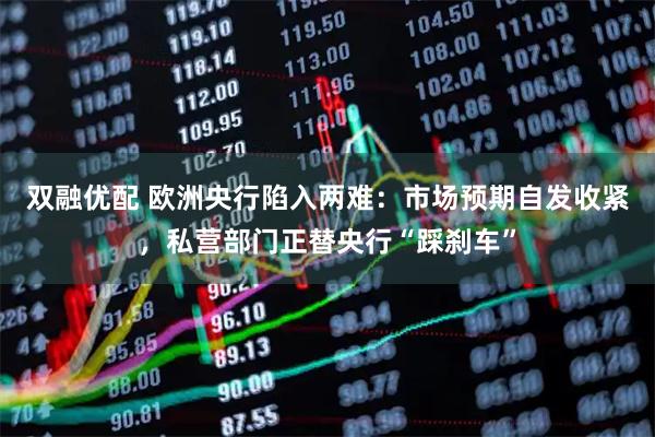 双融优配 欧洲央行陷入两难：市场预期自发收紧，私营部门正替央行“踩刹车”